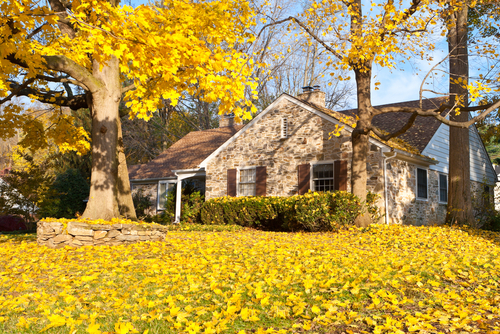 What to Know about Fall Leaves and Your Home